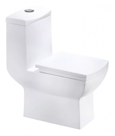 Vaso Sanitário Monobloco 